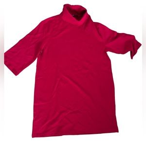 Zara knit turtleneck dress